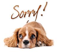 Various - Sorry