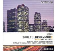 Various - Soulful Behaviour 2