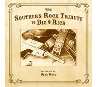 Various - Southern Rock Tribute to Big & Rich