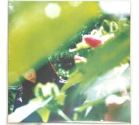 Various - Spring Lovers [VINYL]