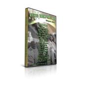 Various - Stars from the 50's