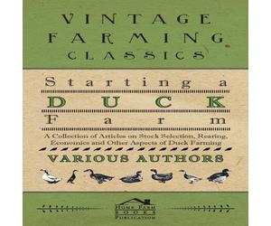 Various Starting a Duck Farm - A Collection of Articles on Stock Various Multicolor