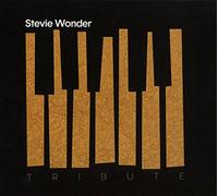 Various - Stevie Wonder Tribute