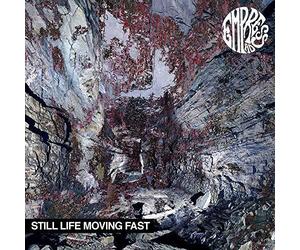 Various - Still Life Moving Fast [VINYL]