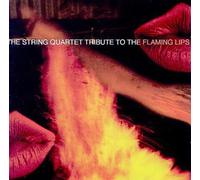 Various - String Quartet Tribute to the