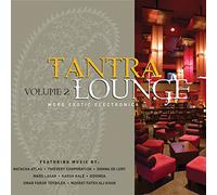 Various - Tantra Lounge 2: More Exotic Electronica