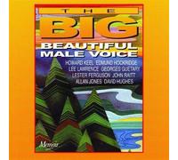 Various - The Big Beautiful Male Voice