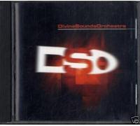 Various - The Divine Sound Orchestra