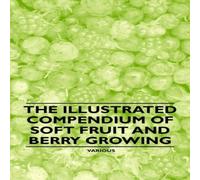 Various The Illustrated Compendium of Soft Fruit & Berry Growing Various Multicolor