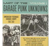 Various - The Last of the Garage Punk Unknowns, Vol. 1