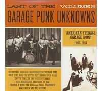 Various - The Last of the Garage Punk Unknowns, Vol. 2