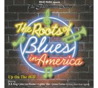 Various - The Roots Of Blues In America