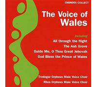 Various - The Voice of Wales