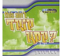 Various - This Aint Trip Hop Part 2