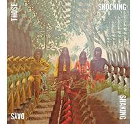 Those Shocking Shaking Days - Indonesian Hard Psychedelic Progressive Rock & Fun [VINYL]
