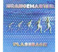 Various - Trancemaster Flashback