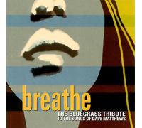 Various - Tribute to Dave Matthews: Brea
