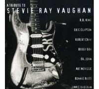 Various - Tribute to Stevie Ray Vaughan