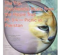 Various - Trip 3 Psychedelic Music from the Hippie Trail