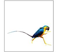 Various - Trip Do Brazil [Vinyl LP] [VINYL]