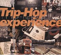 Various - Trip Hop Experience 01