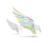 Various - Tsubasa Wo Motsu Mono -Not An Angel Just A Dreamer- - OST [CD]