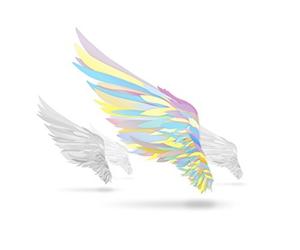 Various - Tsubasa Wo Motsu Mono -Not An Angel Just A Dreamer- - OST [CD]