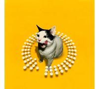 Various - Twist This Pussy