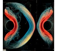 Various - Utopia or Oblivion (a compilation inspired by the work of Buckminster Fuller) [VINYL]
