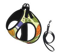 Various Vegetable Patterns,Pet Harness,Adjustable Reflective Dog Harness,Pet Leash Vest,L