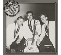 Various - Vol.31,Bop That Never Stopped [VINYL]