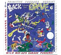 Various Artists – Back from the Grave Vol. 6 – Vinyl – Remastered