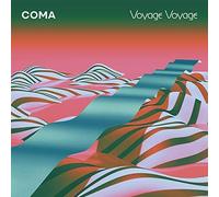 Various - Voyage Voyage [VINYL]