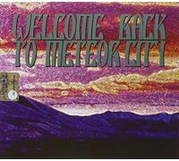 Various - Welcome to Meteor City Desert
