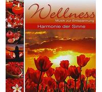 Various: Wellness-Harmonie der Sinne
