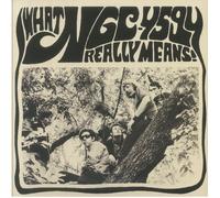 Various - What Ngc-4594 Really Means [VINYL]