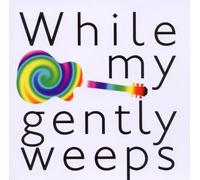 Various - While my guitar gently weeps - Beatles Songs