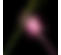 Various | Wicked For Good: The Soundtrack - Rsd Black Friday 2025