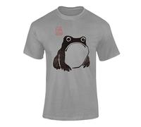 Varsany Graphic Frog T Shirt - Japanese Tshirt for Adults, Frog Shirt Graphic Tee, Cottagecore Top Grey X-Large