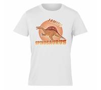 Varsany Personalised Boys Dinosaur Gift T Shirt Kids Summer Top unique Dinosaur Costume Clothes For Boys Gifts For Son 4 5 - 13 Year Old Boys