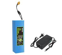 Varstrom 48V 10.4Ah Lithium-Ion Battery - Power Pack with 30A BMS, Compatible with 250W Electric Bike Conversion Motor Kit, E-Bike, Scooter, Motorcycle, Tricycle