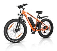 VARUN Electric Bikes for Adults, 26''* 4.0 Fat Tire Electric Mountain Bike with 48V/13Ah Lithium Battery, LCD Display with 5-PAS, E-fatbike with 4 Riding Mode, Mileage 110KM