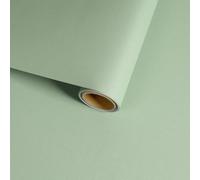 VaryFloral Mint Green Self Adhesive Wallpaper 30cmx300cm Light Green Sticky Back Plastic Waterproof Removable Contact Paper Modern Plain Wallpaper Vinyl Wrap for Furniture Worktop Vinyl Covering