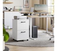 VASAGLE 2 Drawer Rolling File Cabinet for Letter Size Documents in White VASAGLE White