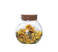 VASANA 500ML/16oz Airtight Round Clear Glass Jar with Cork Lids Tea Caddy Container Vase Eco Bottle Food Storage Containers for Home Kitchen