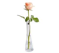 VASANA Single Bud Vase Hand-Made Blown Art Bud Glass Vase Clear Glass Flower Vase Single Stem Vase Container for Home and Office Décor Centerpiece for Wedding Party Event