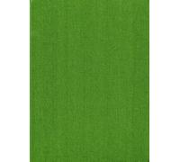 Vascular Plants of the Pacific Northwest : Volume 4: Ericaceae through Campanulaceae