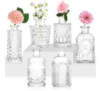 Vase for Flowers Set of 6 Vintage Glass Vases Small Bud Vase Great for Flower Arrangements, Decorative Table Decoration, Wedding Party at Home…