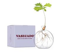 Vasecado® Vase for Acorn, Hand-Blown Clear Glass Vases for Acorns, Gift for Plant Lovers