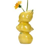 Vases en Forme de Fruits en céramique Pour Les Fleurs - Plante de la pièce maîtresse de Table en Forme de Fruits | Conteneur floral décorations de Cuisine Pour Table centres de Table
